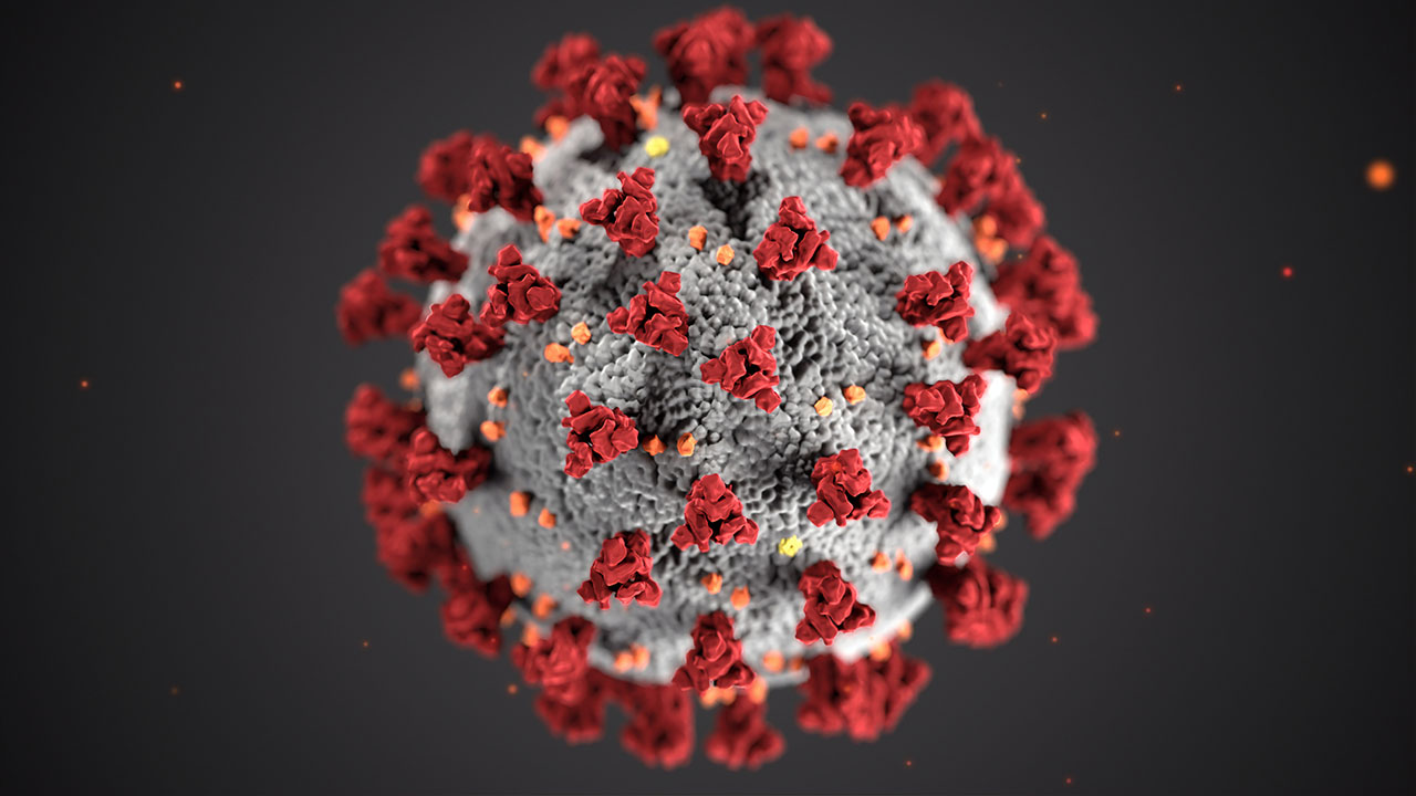 coronavirus.jpg